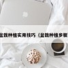 盆栽种植实用技巧（盆栽种植步骤）