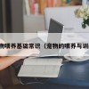 宠物喂养基础常识（宠物的喂养与训练）