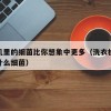洗衣机里的细菌比你想象中更多（洗衣机里容易生什么细菌）