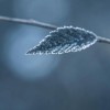 暴雨、大暴雨！“最强时段”，紧急提醒→