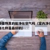 室内养植物真的能净化空气吗（室内净化空气植物哪几种是最好的）