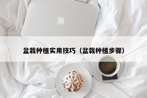 盆栽种植实用技巧(盆栽种植步骤)