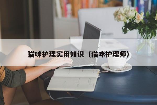 猫咪护理实用知识(猫咪护理师)