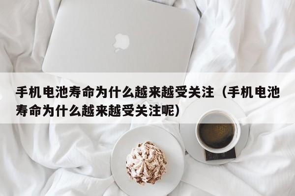 手机电池寿命为什么越来越受关注(手机电池寿命为什么越来越受关注呢)