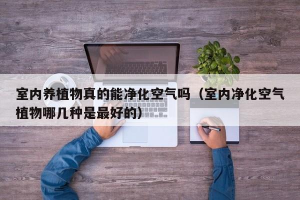 室内养植物真的能净化空气吗(室内净化空气植物哪几种是最好的)