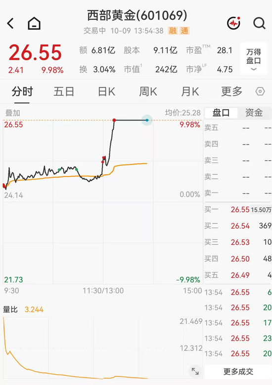 601069，午后直线涨停！