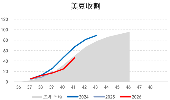 油籽蛋白：向下有限，向上可期