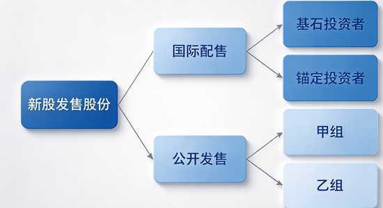 港股医药IPO“包盘”调查：新规发布2025年8月是一道分水岭